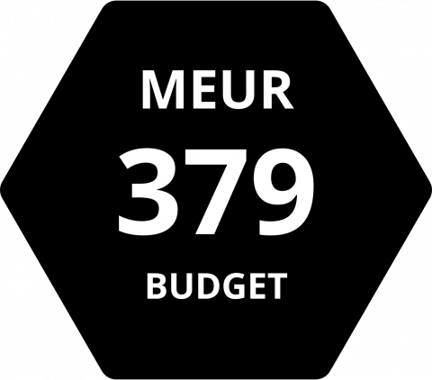 Hexagon with the total budget of the programme